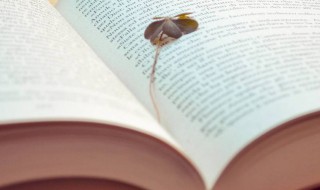 家乡巨变作文 家乡巨变作文怎么写