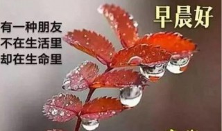 天气变冷早安暖心话 天气变冷问候语