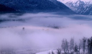 梦到相亲是什么意思 梦见自己相亲是什么意思呢