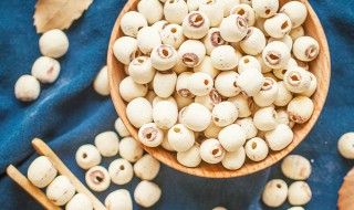 鲜莲蓉的制作方法 如何制作鲜莲蓉