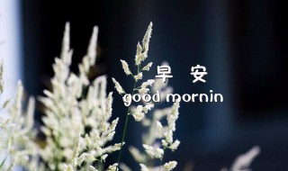 天气转凉的早安问候语 天冷时的早安问候