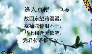 双袖龙钟泪不干的龙钟是什么意思 双袖龙钟泪不干原文及译文