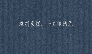 很想你的句子说说心情 我的相思是你