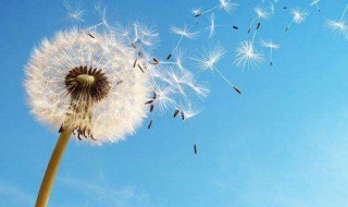 放下的句子说说心情 放下的句子说说心情推荐