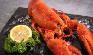 如何做芝士焗龙虾 芝士焗龙虾的烹饪方法