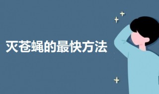 灭苍蝇的最快方法 灭苍蝇最快最有效的方法介绍