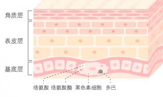 烟酰胺怎么用 烟酰胺用的方法