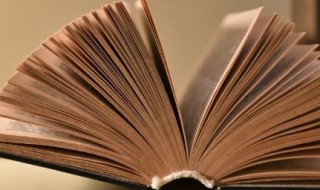 盖以诱敌的盖的意思 盖以诱敌的盖什么意思