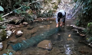 简单做鱼笼的方法 简易鱼笼DIY制作方法