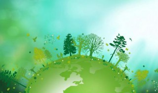 有关环境保护的作文 有关环境保护的作文范文