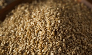 生芝麻怎么保存放不坏 控制水分很关键