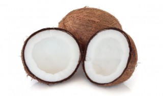 做椰子汁的方法 自制椰子汁的做法