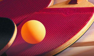 乒乓拍护理方法 乒乓拍护理方法简述