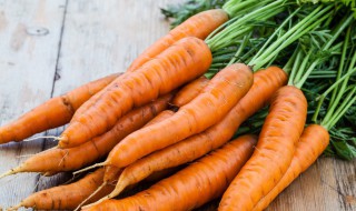 胡萝卜移栽方法 移苗后如何缓苗