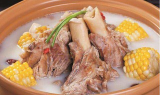 牛骨头煨汤怎么做 牛骨头煨汤制作教程