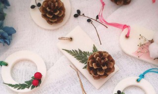 植物蜡片制作方法 植物蜡片的制作方法步骤