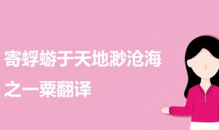 寄蜉蝣于天地渺沧海之一粟翻译 出自何处