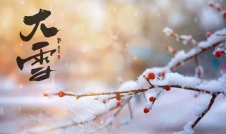 大雪节气有什么忌讳 大雪节气简介