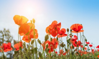 跨年文案短句干净干净 跨年文案短句干净干净列述