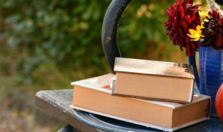 爱上阅读的句子 关于爱读书的句子