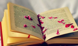 一句很朴实的表白情话 最朴实走心的表白