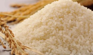 梦到大米是什么意思 梦到大米梦境解析