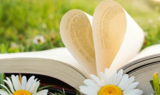 两岸青山相对出的出是什么意思 两岸青山相对出的出意思说明