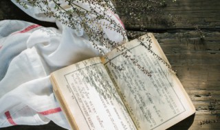 尽绵薄之力什么意思 尽绵薄之力意思简述