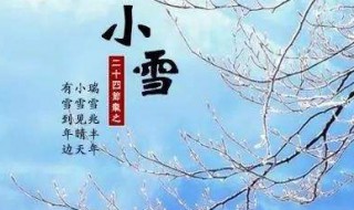 2020年小雪的时间 时间是11月22日
