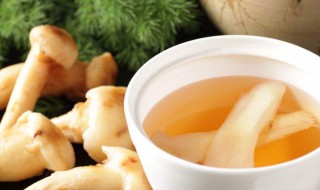 松茸汤怎么做 如何做松茸汤