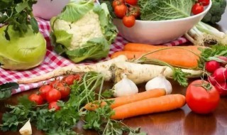 冬天应该种什么蔬菜 冬天适合种的蔬菜有哪些