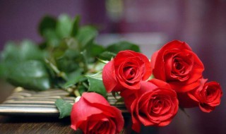 101朵玫瑰代表什么意思 玫瑰花介绍