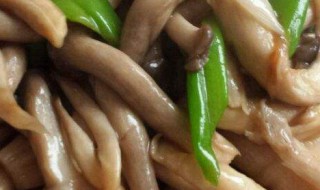 烧蘑菇的制作方法 怎么做烧蘑菇
