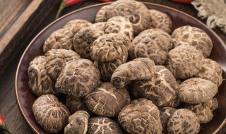 香菇干货保存方法 这四种方法都很好用