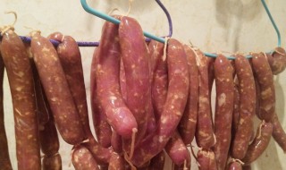 肉肠怎么做的呀 肉肠如何做