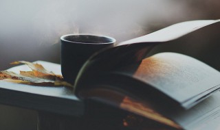 独木不林的意思 独木不林解释