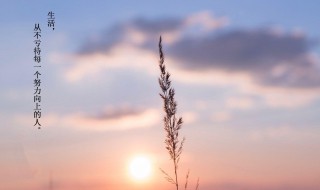 不念过往只慕余生什么意思 不念过往只慕余生意思