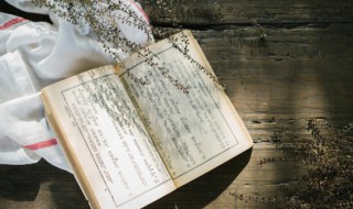 雨中禁火空斋冷江上流莺独坐听的意思 雨中禁火空斋冷江上流莺独坐听是什么意思