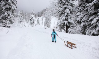 雪骤怎么解释 雪骤的含义