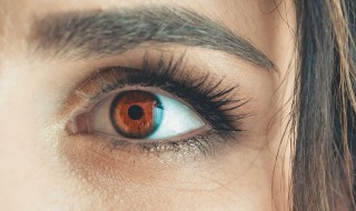 pupil怎么读 pupil读法