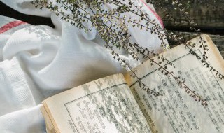 菩提萨婆诃是什么意思 菩提萨婆诃含义