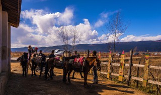 丽江最佳旅游时间 去丽江旅游的最佳季节