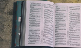 磁盘阵列是什么意思 磁盘阵列解释