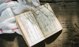 谁道人生无再少的意思 谁道人生无再少的解释是什么