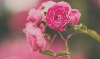 接地气的鼓励别人加油的话 接地气的鼓励别人加油的话有哪些