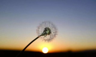 致渐渐老去的自己说说 关于渐渐老去的自己说说