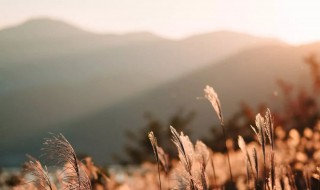 描写早上太阳的优美句子 描写早上太阳的句子