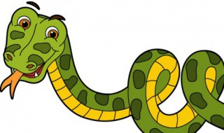 梦到花蛇是什么意思 梦到花蛇含义介绍