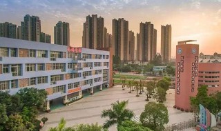 龙岗中学简介 龙岗中学相关简介