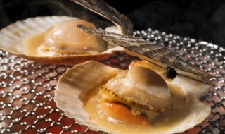 贝怎么读 怎么读贝